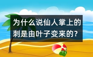 為什么說仙人掌上的刺是由葉子變來的？