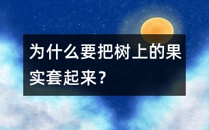 為什么要把樹上的果實(shí)套起來？