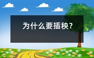 為什么要插秧？