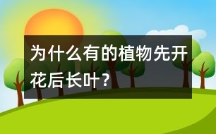 為什么有的植物先開花后長(zhǎng)葉？