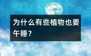 為什么有些植物也要“午睡”？