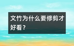 文竹為什么要修剪才好看？