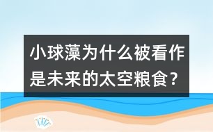 小球藻為什么被看作是未來(lái)的太空糧食？