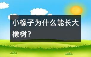 小橡子為什么能長(zhǎng)大橡樹(shù)？