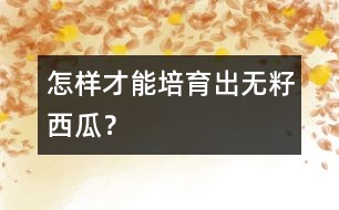 怎樣才能培育出無籽西瓜？