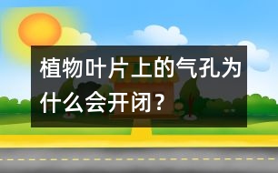 植物葉片上的氣孔為什么會開閉？