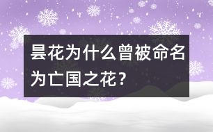 曇花為什么曾被命名為“亡國(guó)之花”？