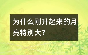 為什么剛升起來的月亮特別大？