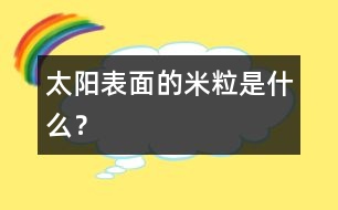 太陽表面的“米?！笔鞘裁?？