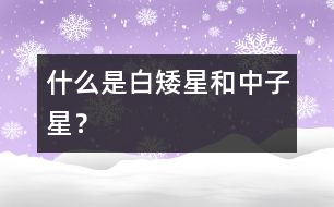 什么是白矮星和中子星？