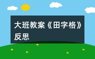 大班教案《田字格》反思