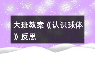 大班教案《認識球體》反思