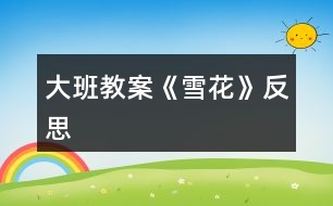 大班教案《雪花》反思