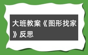 大班教案《圖形找家》反思