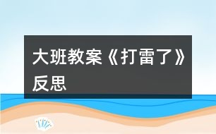 大班教案《打雷了》反思