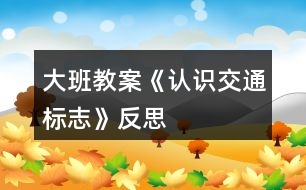 大班教案《認(rèn)識交通標(biāo)志》反思