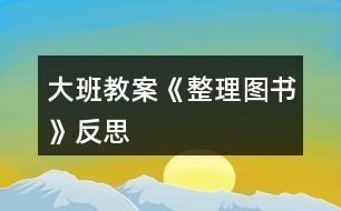 大班教案《整理圖書》反思