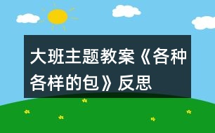 大班主題教案《各種各樣的包》反思