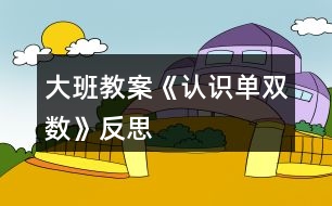 大班教案《認(rèn)識單雙數(shù)》反思