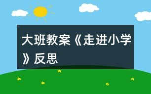 大班教案《走進(jìn)小學(xué)》反思