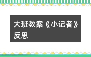 大班教案《小記者》反思