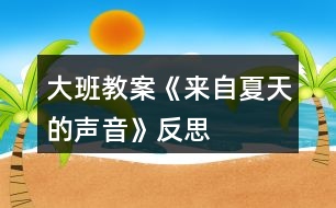 大班教案《來自夏天的聲音》反思