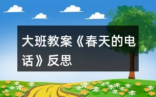 大班教案《春天的電話》反思