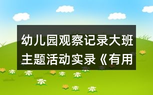 幼兒園觀察記錄大班主題活動實錄《有用的植物》