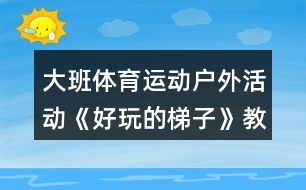 大班體育運動戶外活動《好玩的梯子》教案反思