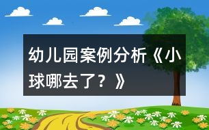 幼兒園案例分析《小球哪去了？》