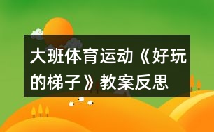 大班體育運動《好玩的梯子》教案反思