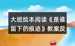 大班繪本閱讀《是誰留下的痕跡》教案反思