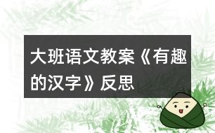 大班語(yǔ)文教案《有趣的漢字》反思