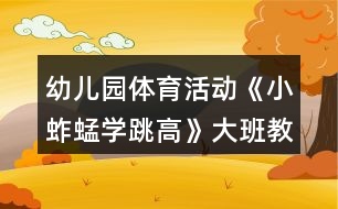 幼兒園體育活動《小蚱蜢學(xué)跳高》大班教案反思