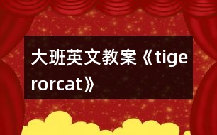 大班英文教案《tigerorcat》