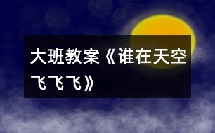 大班教案《誰在天空飛飛飛》