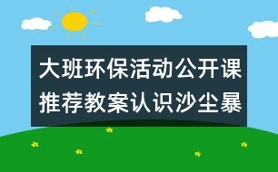 大班環(huán)保活動(dòng)公開課推薦教案：認(rèn)識沙塵暴