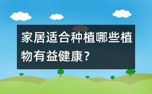 家居適合種植哪些植物有益健康？