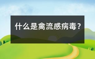 什么是禽流感病毒？