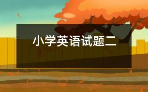 小學(xué)英語(yǔ)試題二