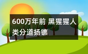 600萬年前 黑猩猩人類分道揚(yáng)鑣