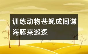 訓(xùn)練動物蒼蠅成間諜海豚來巡邏