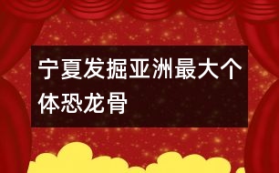 寧夏發(fā)掘亞洲最大個體恐龍骨