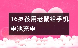 16歲孩用老鼠給手機(jī)電池充電