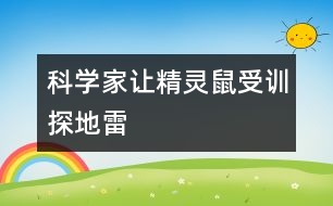 科學家讓精靈鼠受訓探地雷