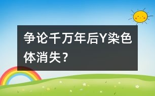 爭論：千萬年后Y染色體消失？