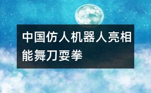 中國仿人機器人亮相能舞刀耍拳