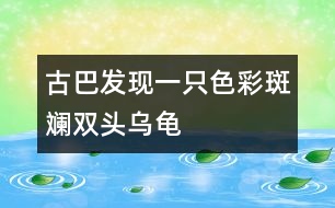 古巴發(fā)現(xiàn)一只色彩斑斕雙頭烏龜