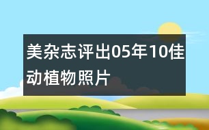 美雜志評(píng)出05年10佳動(dòng)植物照片