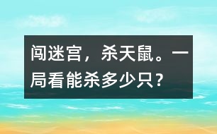 闖迷宮，殺天鼠。一局看能殺多少只？